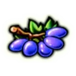 Grapes